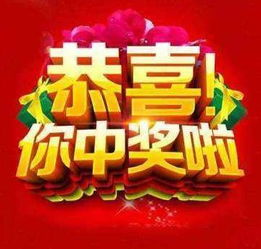 TIE国际暑校项目